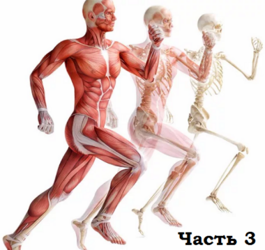 [Александр Волоткевич] Нейтральность, осанка и мышечно-скелетные асимметрии. Часть 3. Релаксация. Работа с вниманием и ощущениями (2025)