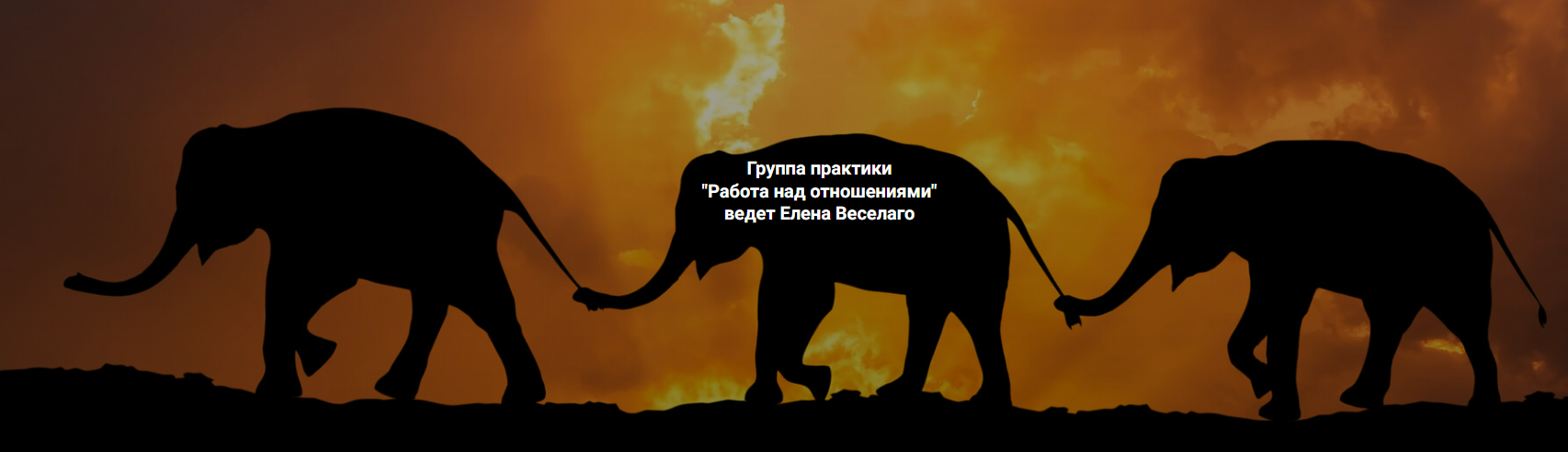 [Елена Веселаго] [Институт Открытого поля] Работа над отношениями (2025)
